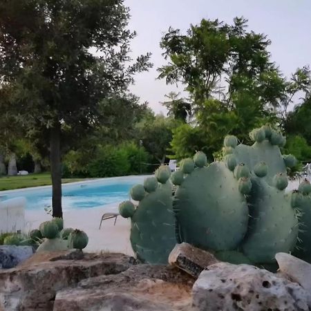 托雷桑塔萨宾娜Masseria Boezio Ostuni住宿加早餐旅馆 外观 照片