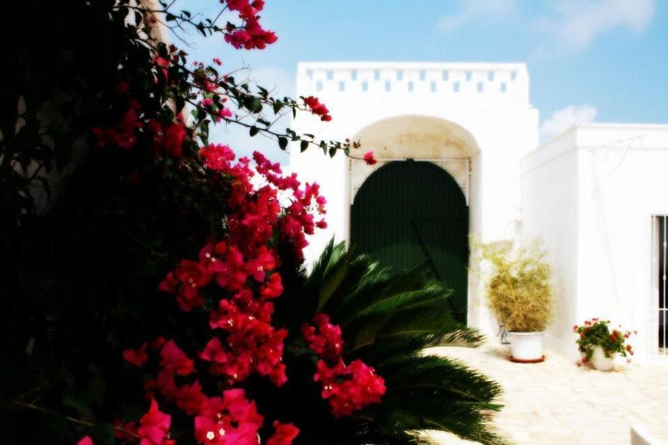 托雷桑塔萨宾娜Masseria Boezio Ostuni住宿加早餐旅馆 外观 照片